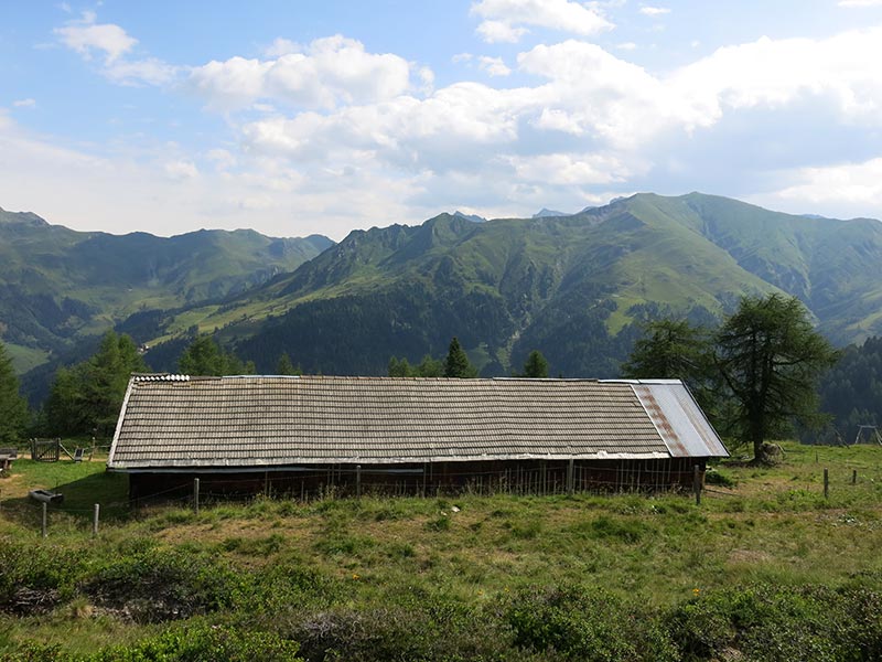 Schafseitenspitze